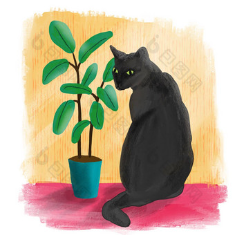手画illsutration黑色的猫花热带榕属植物<strong>室内</strong>植物色彩斑斓的背景首页动物猫宠物可爱的<strong>设计海报</strong>卡时尚的艺术宽松的绘画风格礼物猫情人猫妈妈打印