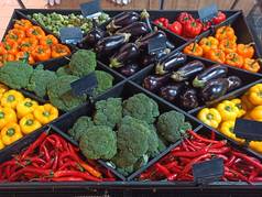 前视图分类新鲜的有机蔬菜计数器杂货店超市健康的生活方式纯素食主义