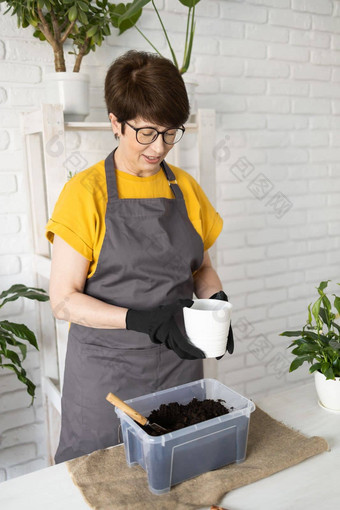 园艺首页女人种植浇水绿色植物浇水首页盆栽绿色植物首页首页丛林花装饰花店商店概念