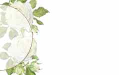水彩插图矩形框架白色玫瑰半透明的面纱金圆的地方登记文本孤立的白色背景设计婚礼邀请