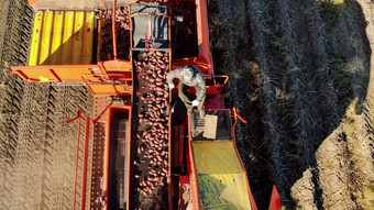 航空前视图农场机械收获新鲜的有机土豆农业场耦合拖拉机红色的彩色的土豆收割机挖掘轻轻的地方土豆特殊的容器早期秋天