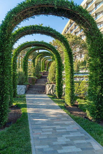 绿色花园拱门路径景观园艺设计酒店