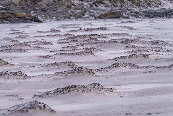 模式沙子被风吹的海滩福克兰岛屿