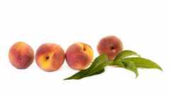 高丽油桃水果一半叶孤立的白色背景桃子剪裁路径