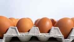 新鲜的鸡蛋蛋摊位蛋托盘蛋面板