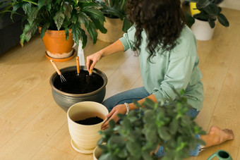 女人关闭移植绿色植物能室内植物首页园艺概念