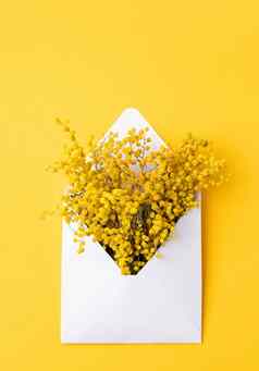 打开白色信封黄色的含羞草花黄色的背景模型设计