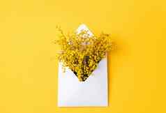 打开白色信封黄色的含羞草花黄色的背景模型设计