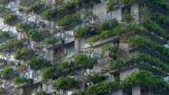 绿化建筑房子种植植物树