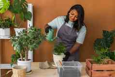 非洲美国女人浇水植物能首页园艺室内爱好休闲培养有爱心的室内盆栽植物种植绿色植物花能