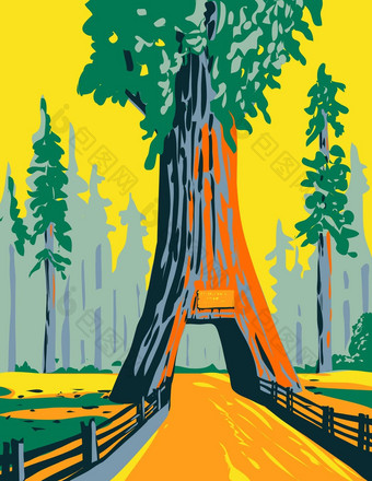 吊灯树开车树公园<strong>红木</strong>国家公园加州水渍险海报艺术