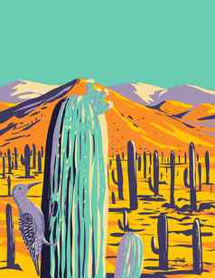 疯了啄木鸟仙人掌国家公园皮马人县亚利桑那州水渍险海报艺术