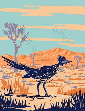 走鹃茂密的树丛鸟约书亚树国家公园莫哈韦沙漠沙漠加州<strong>水渍</strong>险海报艺术