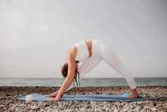 女人海瑜伽中间岁的女人辫子长发绺白色紧身裤上衣伸展运动普拉提瑜伽席海女健身瑜伽例程概念健康的生活方式