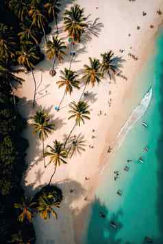 空中视图热带海滩白色沙子椰子棕榈树海人有趣的生成的