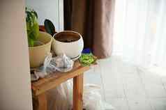 特写镜头空陶瓷锅发芽幼苗纸包沙拉种子木凳子在室内