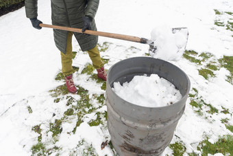 中年女人收集雪桶铲自然资源
