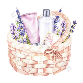 水彩插图柳条篮子薰衣草集化妆品孤立的白色背景紫色的洗发水乳香肥皂礼物设计海报美水疗中心客厅