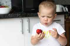 小秃男孩整齐开胃的吃红色的多汁的草莓