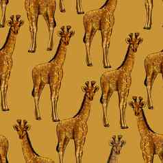 无缝的模式非洲长颈鹿草图技术