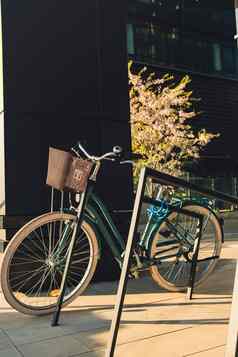 现代自行车停城市街业务中心区外设计古董女士们巡洋舰自行车停市中心女自行车现代体系结构