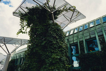 植物花园屋顶华沙大学图书馆<strong>现代</strong>体系结构绿色植物可持续发展的建筑体系结构未来主义的亲生物设计生态绿色<strong>现代</strong>建筑<strong>现代</strong>花园植物