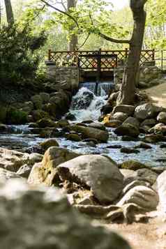 瀑布级联奥利维亚公共公园格但斯克波兰河瀑布瀑布悬崖树长曝光旅游吸引力小瀑布清晰的水