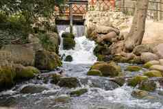 瀑布级联奥利维亚公共公园格但斯克波兰河瀑布瀑布悬崖树旅游吸引力小瀑布清晰的水