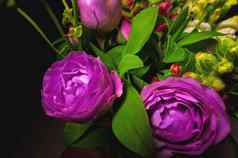 美丽的粉红色的牡丹花关闭花背景紫色的牡丹玫瑰郁郁葱葱的花束