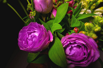 美丽的粉红色的<strong>牡丹</strong>花关闭花背景紫色的<strong>牡丹</strong>玫瑰郁郁葱葱的花束