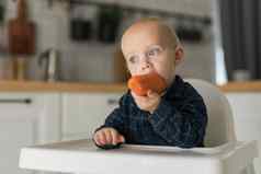 快乐婴儿坐着高椅子吃胡萝卜厨房复制空间健康的营养孩子们生物胡萝卜固体食物婴儿孩子们吃蔬菜男孩咬生蔬菜