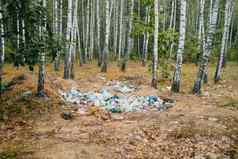 垃圾转储垃圾桦木格罗夫自然被污染的不负责任的人