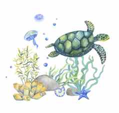 水彩游泳乌龟孤立的白色背景手画插图海洋海水下海底藻类水母