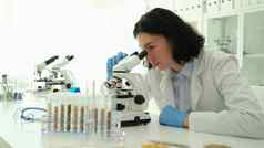 科学家化学家显微镜前面测试管粮食实验室