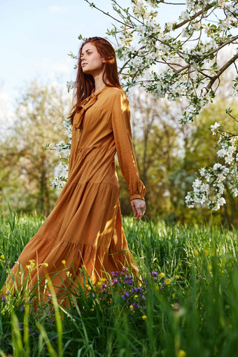 纤细的甜蜜的女人站长橙色衣服高草开花树衣服发展中光风