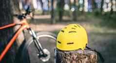 自行车头盔树桩森林