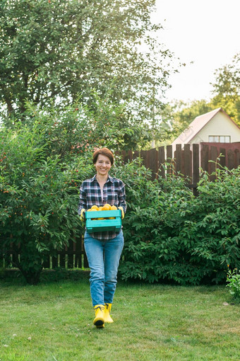 女农民携带盒子选蔬菜复制空间空空间<strong>广告花园</strong>收获农业产品在线销售