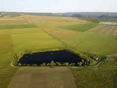 空中视图湖包围绿色小麦场农村场小麦吹风绿色海耳朵大麦作物自然农学行业食物生产