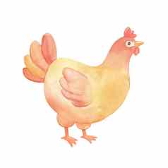 可爱的卡通鸡水彩插图孤立的白色农场动物母鸡