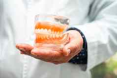 假牙牙医持有牙科牙齿模型研究治疗医院