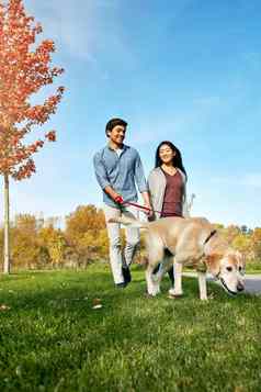 狗提供感觉情感幸福爱的年轻的夫妇采取狗走公园