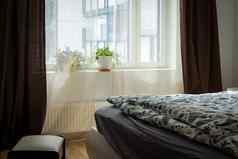 卧室室内明亮的卧室室内宽床上室内公寓阁楼有家具的卧室舒适的模块化休息室套房现代室内室内植物房子植物