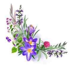 野生场紫色的花花束手画