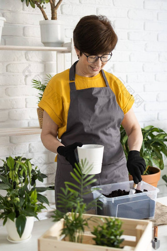 园艺首页女人种植浇水<strong>绿色植物</strong>浇水首页盆栽<strong>绿色植物</strong>首页首页丛林花装饰花店商店概念