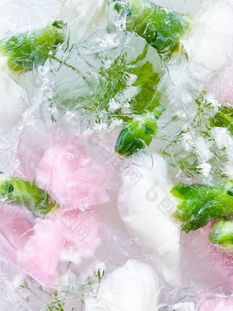 康乃馨花园花冻冰背胶