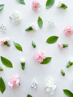 花模式粉红色的白色康乃馨绿色叶子