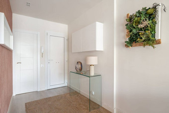 简单的舒适的入口大厅光颜色对讲机玻璃控制台挂内阁时尚的植物标本墙概念简单的<strong>简洁</strong>的室内设计