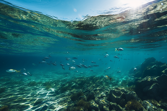 蓝色海洋鱼类海底世界礁石生物