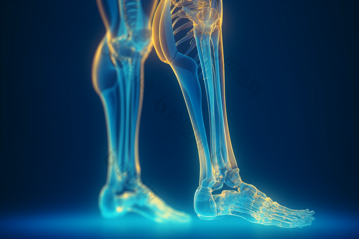 人体骨骼透视图膝盖姿势