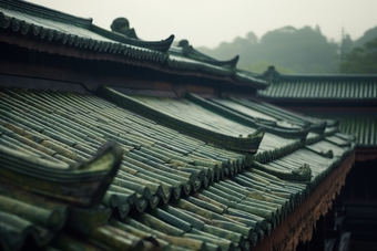 中式传统江南瓦片屋顶摄影图7